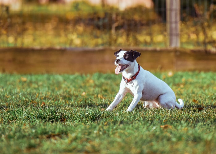 Valley Animal Hospital Hours Valley Animal Hospital Hours