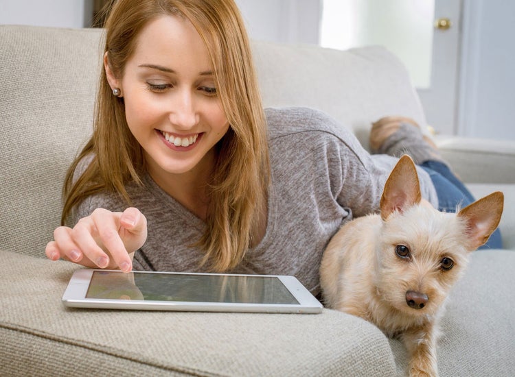 Your Pet's Health at Your Fingertips image
